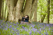 A young woman sitting under a tree, relaxing
