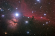 Nebular complex in Orion's Belt. Horse head, Flaming tree. Nebular complex in Orion's Belt. Horse head, Flaming tree.
