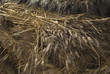 carro di grano