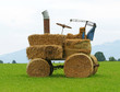 Biologische Landwirtschaft - Bio-Agriculture