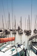 Segelboote im Hafen von Lausanne