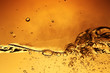 Bio fuel technology research