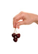 hand holding cherry isolated over white hand holding cherry isolated over white