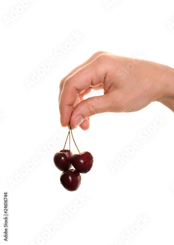 hand holding cherry isolated over white hand holding cherry isolated over white