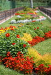 flower bed,