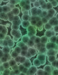 green background