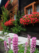 Chalet fleuri dans les Alpes en montagne
