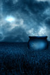 Blue Magic