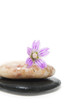 zen stones and flower