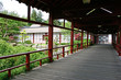 jardin japonais
