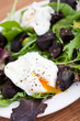 Poached egg and black pudding