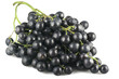 Uva Nera