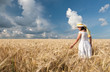 field of wheat