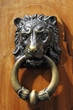 Lion Handle
