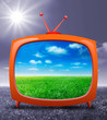 Ilustração: TV su prato verde TV su prato verde