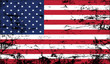 usa flag