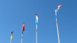 Drapeaux au vent