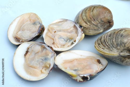 Photo: Raw Clams on the Half Shell Raw Clams on the Half Shell
