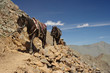 Mountain horse-riding
