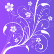 Floral Flower Card