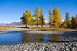 Larches