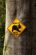 Vorsicht Koalas Vorsicht Koalas