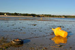 Plage de Kerleven - la forêt fouesnant