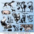 various Vintage-style illustrations  - farm animals set