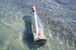 Strandgut - angespühlt