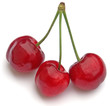 cerises