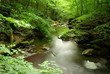 Holzbachschlucht
