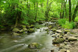 Holzbachschlucht