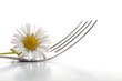 flower and fork flower and fork
