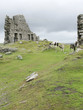Photo: Horses on the moors of Dartmoor Horses on the moors of Dartmoor