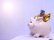 Foto: Fliegendes Sparschwein Fliegendes Sparschwein