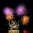Purple-tangerine color show