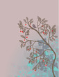 cherry tree