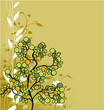 orange tree