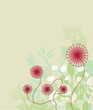 flower background