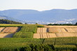 Felder und Schwäbische Alb Felder und Schwäbische Alb