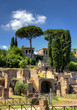 palatino vista con pini hdr, roma
