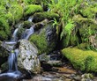 Fuente de vida,agua