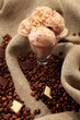 vintage ice-cream