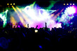 Cheering crowd at concert