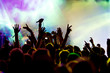 Cheering crowd at concert