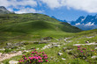 Promenade en montagne