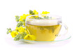 Tee Königskerze - tea mullein 01