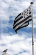 Drapeau breton et mouette sur le lampadaire