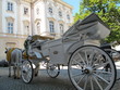 weiße hochzeitskutsche