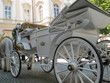 hochzeitskutsche in salzburg